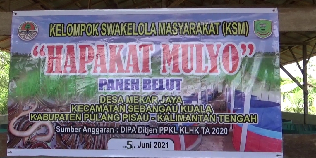 ad